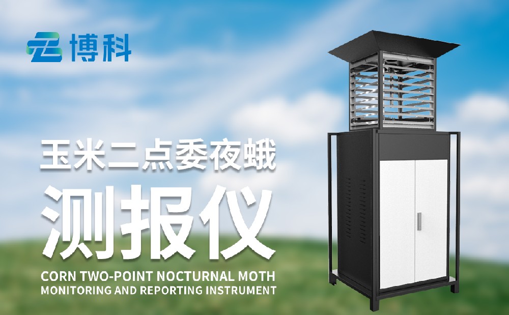 玉米二點(diǎn)委夜蛾的危害性和治理手段，玉米二點(diǎn)委夜蛾監(jiān)測(cè)儀